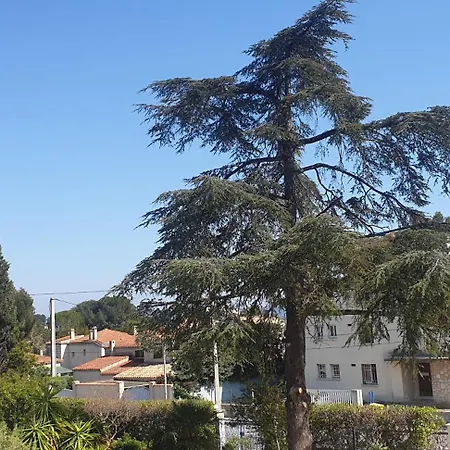 Les Vagues Bleues * La Ciotat